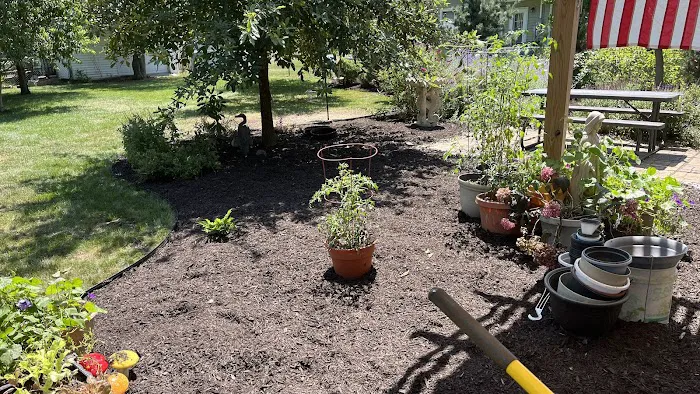 Sunflower Lawn and Landscaping Picture 3