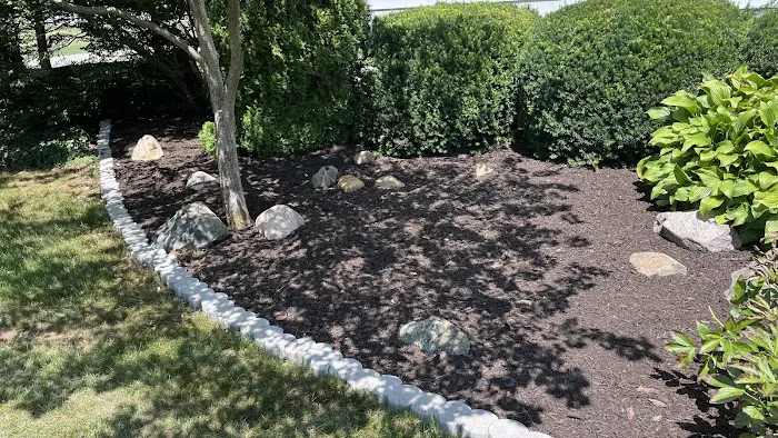 Sunflower Lawn and Landscaping Picture 6