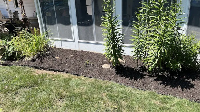 Sunflower Lawn and Landscaping Picture 8
