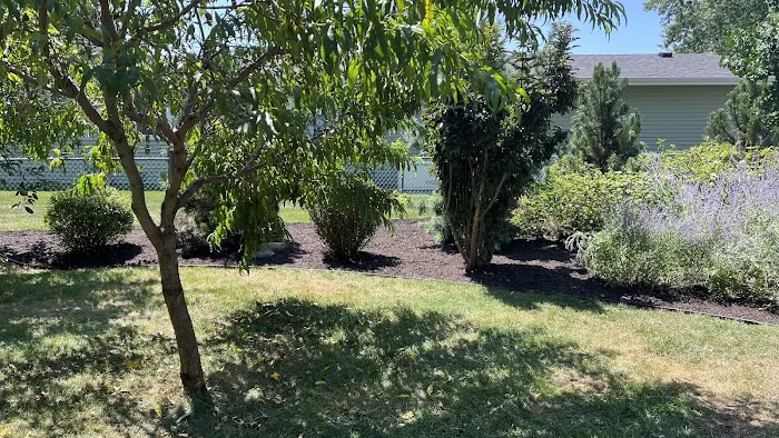 Sunflower Lawn and Landscaping Picture 9