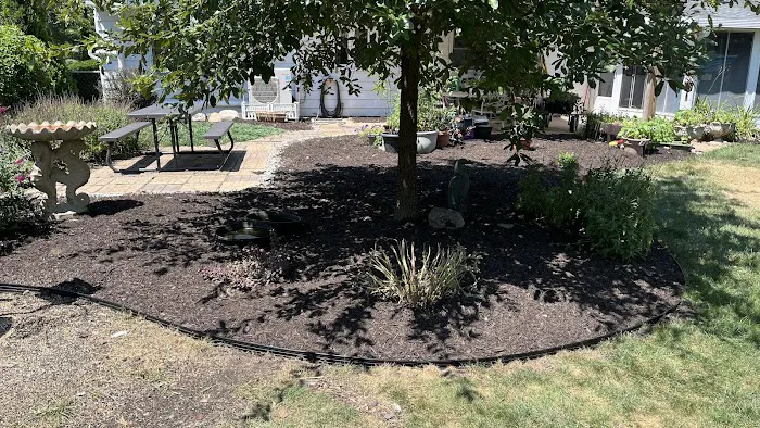 Sunflower Lawn and Landscaping Picture 7