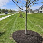 Trim and Prim Services