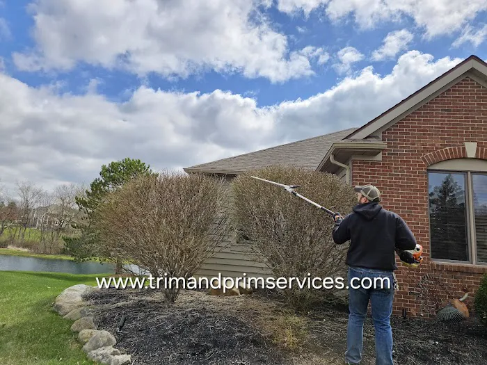 Trim and Prim Services Picture 3