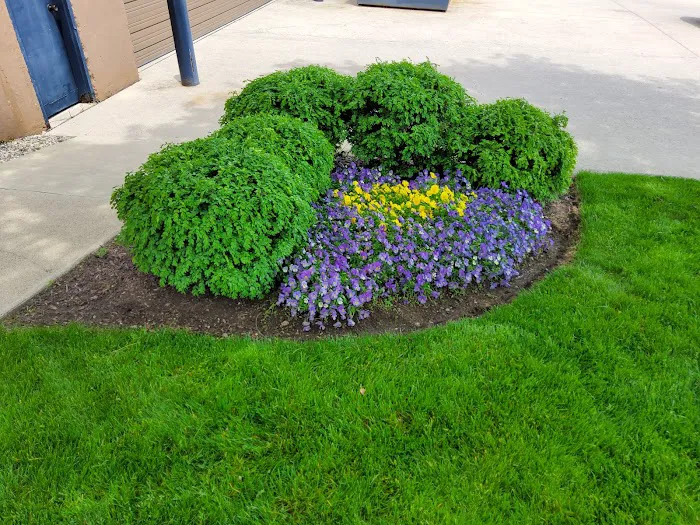 TURFMASTER Picture 9