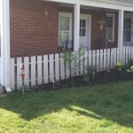 Sun Fish Lawn, Garden and Home Care