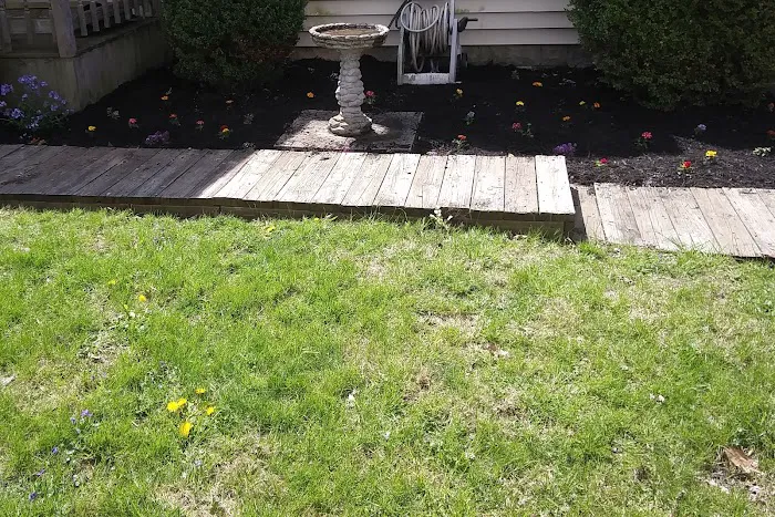 Sun Fish Lawn, Garden and Home Care Picture 4