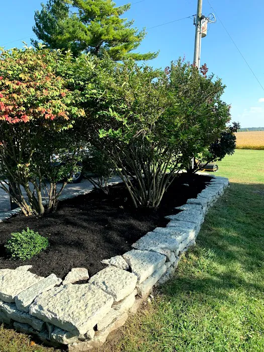 B.I.L's Turf and Landscape LLC Picture 3