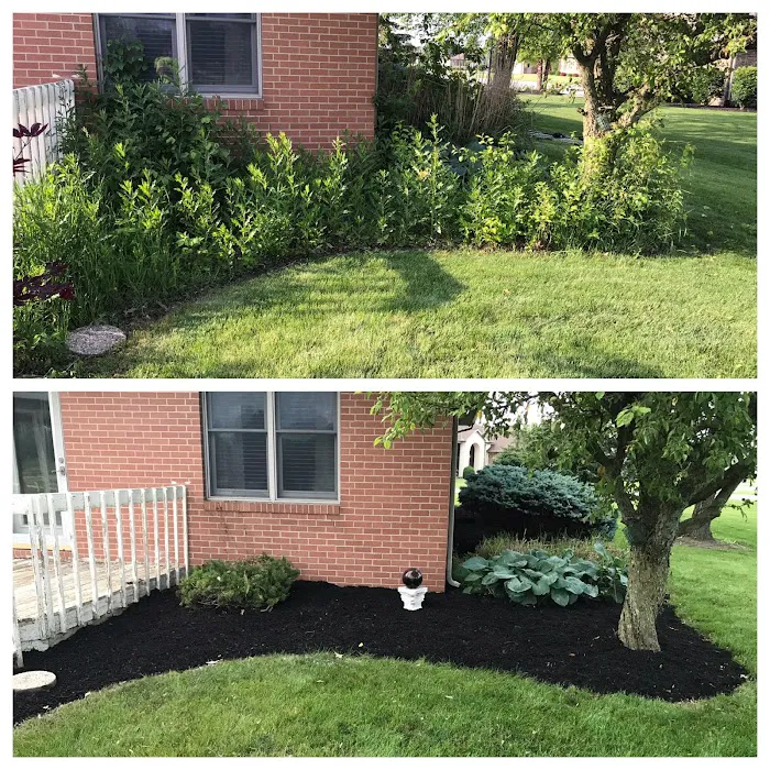 Sir Newton Lawn Care LLC Picture 8