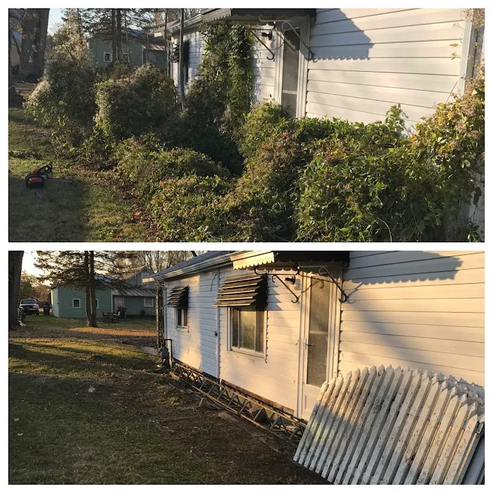 Sir Newton Lawn Care LLC Picture 7