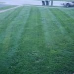 Green Image Lawn Care LLC