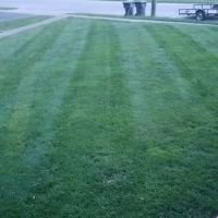 Green Image Lawn Care LLC ico