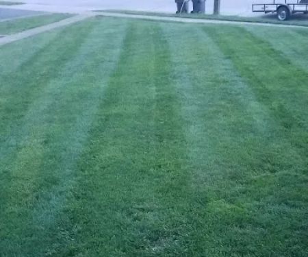 Green Image Lawn Care LLC