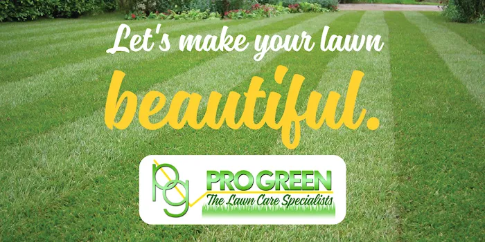 Pro Green Picture 6