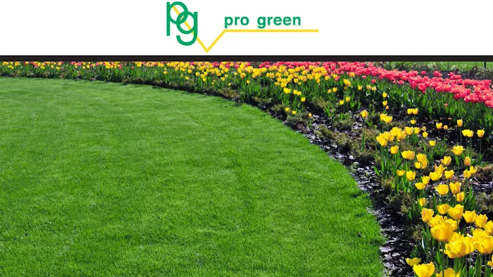 Pro Green Picture 7