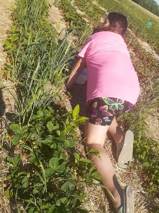 Jutte's Fruit Farm and Landscaping Picture 1
