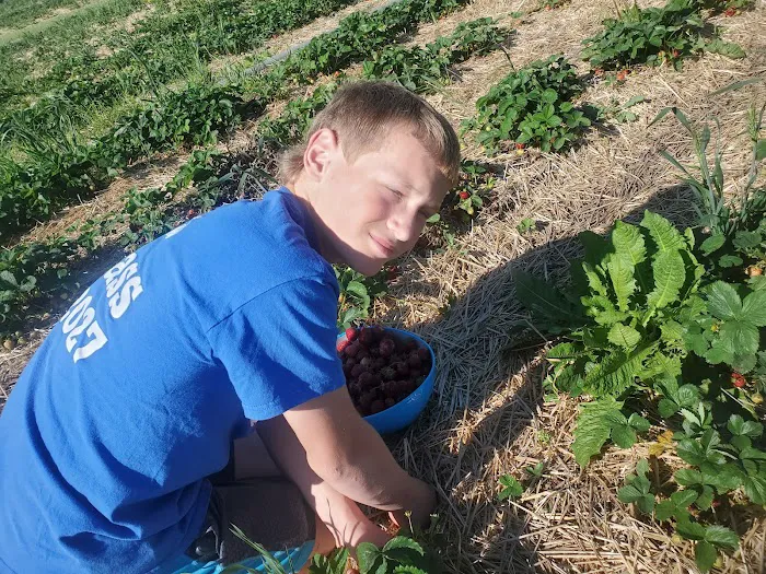 Jutte's Fruit Farm and Landscaping Picture 2