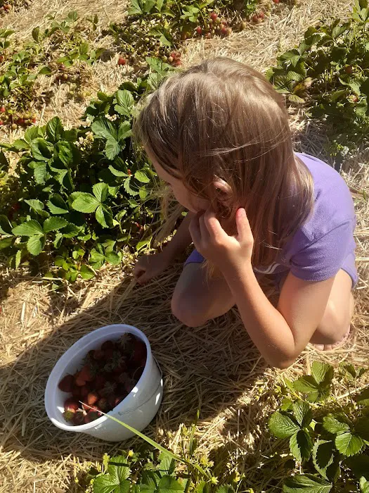 Jutte's Fruit Farm and Landscaping Picture 3
