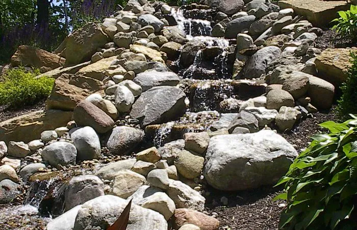 Nature's Green Nursery Inc Picture 1