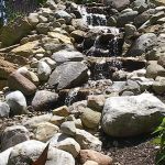 Nature's Green Nursery Inc