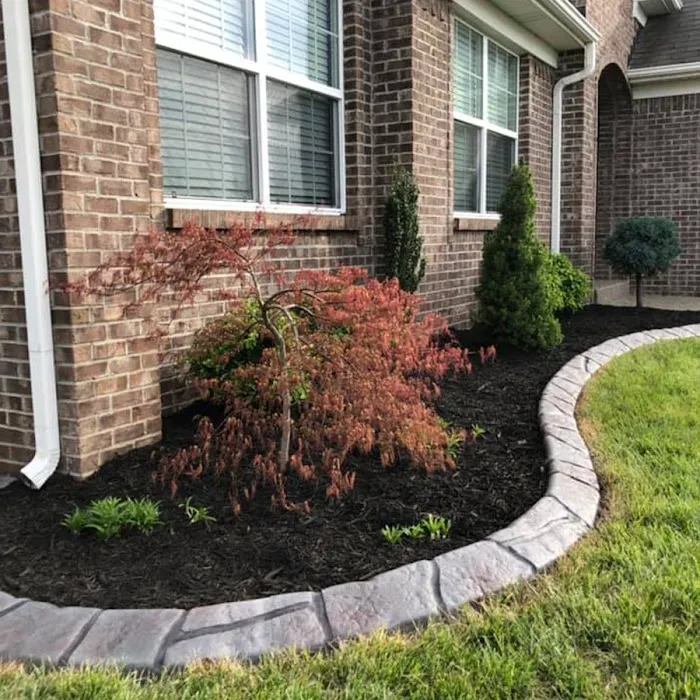 Border Magic by Bruns Borders LLC Picture 4