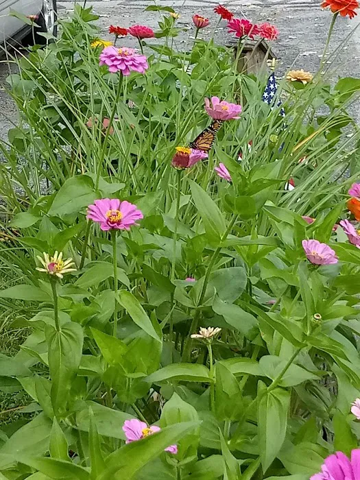 Flory Landscaping & Lawn Care Picture 3