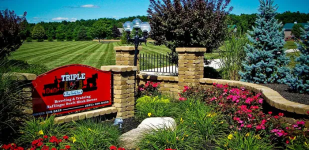 Flory Landscaping & Lawn Care Picture 9
