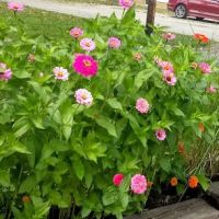 Flory Landscaping & Lawn Care ico