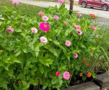 Flory Landscaping & Lawn Care