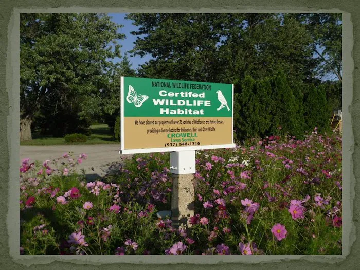 Crowell Lawn Service Picture 7