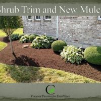Crowell Lawn Service ico