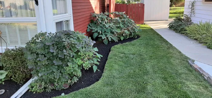 Lovely Lawn Care Co. Picture 1