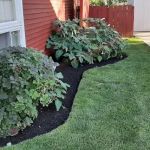 Lovely Lawn Care Co.