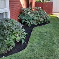 Lovely Lawn Care Co. ico