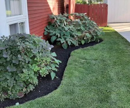 Lovely Lawn Care Co.