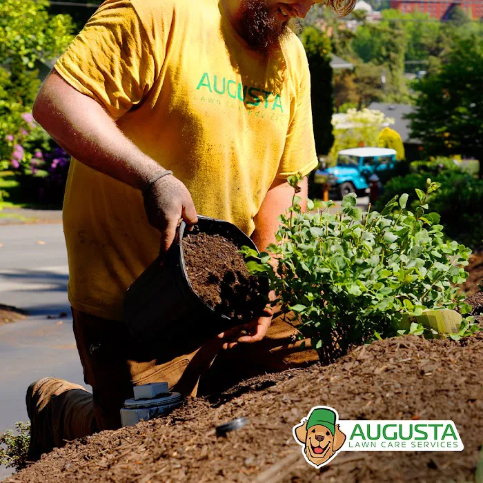 Augusta Lawn Care of Van Wert Picture 7