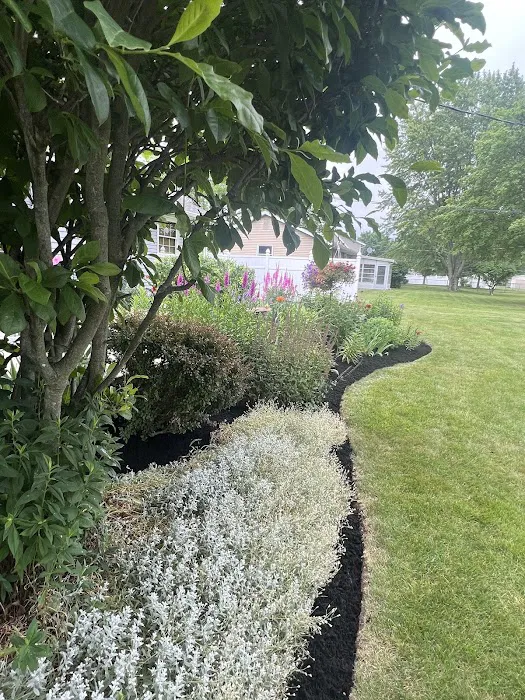 True North Landscaping Picture 5