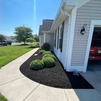 True North Landscaping ico