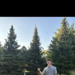 Native Landscaping & Hardscape Design