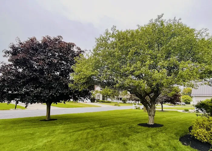 Native Landscaping & Hardscape Design Picture 4