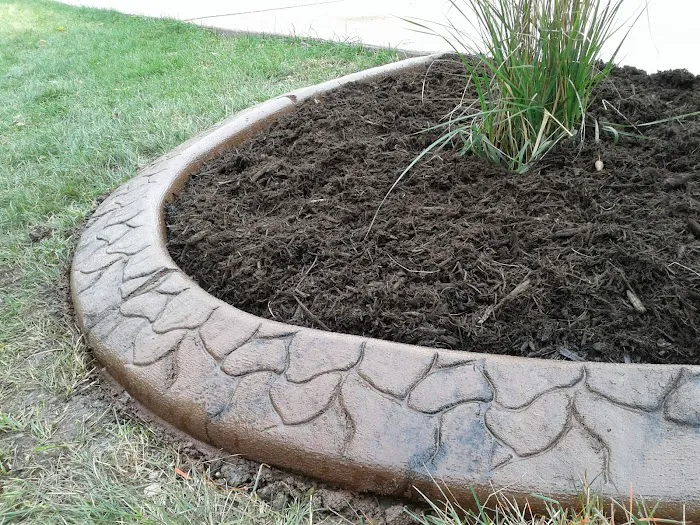 Solid Ground Picture 5