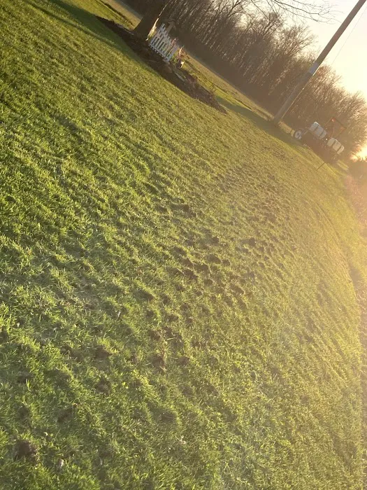 Ewing Landscape LLC Picture 5