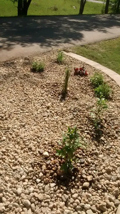 Evergreen Lawn Care & Landscape Picture 4