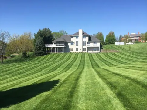 Tompkins Lawn Care, Inc. Picture 1