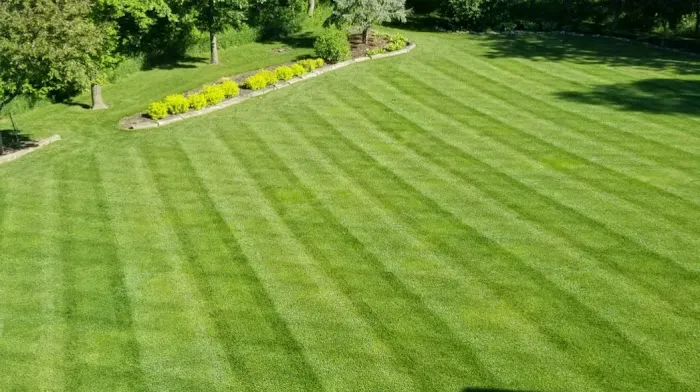 Tompkins Lawn Care, Inc. Picture 4