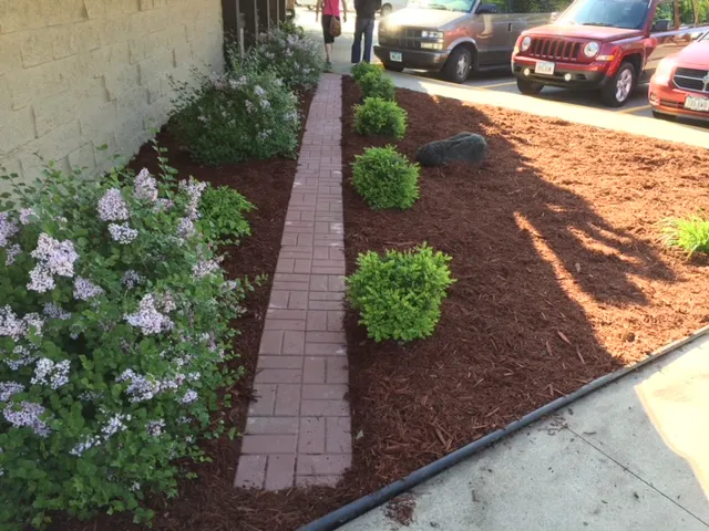 Friends of the Earth Landscaping Picture 4