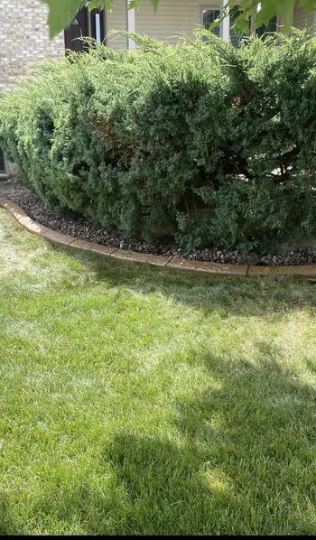 Border Magic by BB Landscaping Services LLC Picture 1