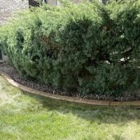 Border Magic by BB Landscaping Services LLC ico