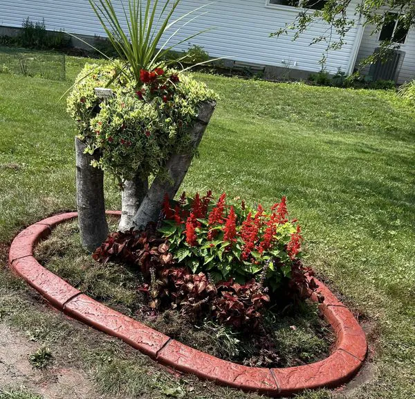 Border Magic by BB Landscaping Services LLC Picture 7