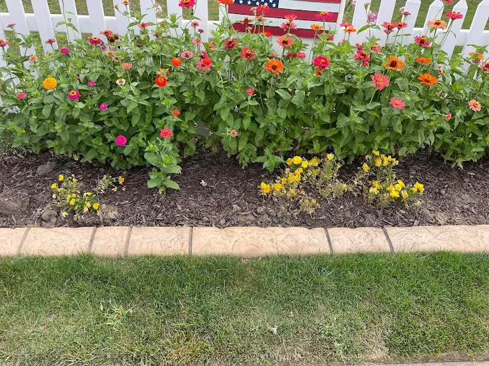 Border Magic by BB Landscaping Services LLC Picture 10