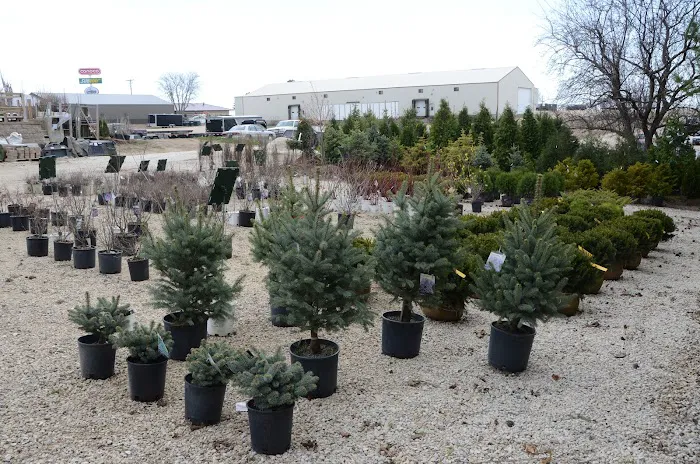 Outdoor Creations Landscape and Garden Center Picture 10